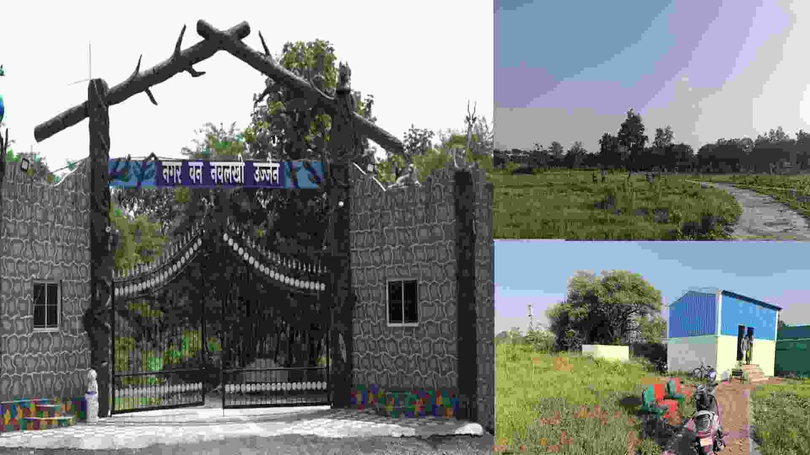 Van Vibhag News MP-2025